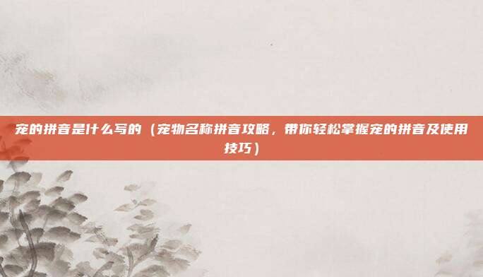 宠的拼音是什么写的(宠物名称拼音攻略,带你轻松掌握宠的拼音及使用技巧)