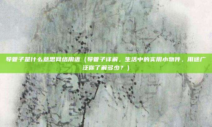 导管子是什么意思网络用语(导管子详解,生活中的实用小物件,用途广泛你了解多少?)