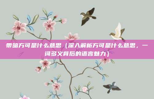 带暗方可是什么意思(深入解析方可是什么意思,一词多义背后的语言魅力)