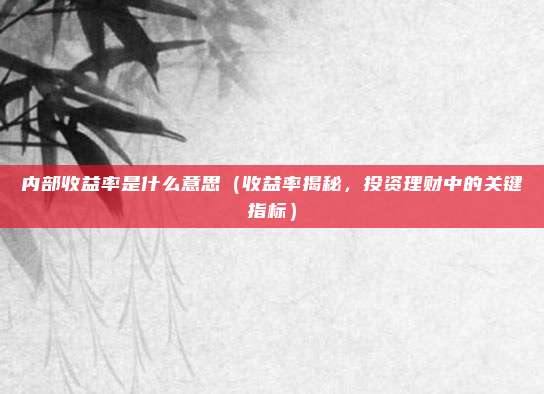内部收益率是什么意思(收益率揭秘,投资理财中的关键指标)