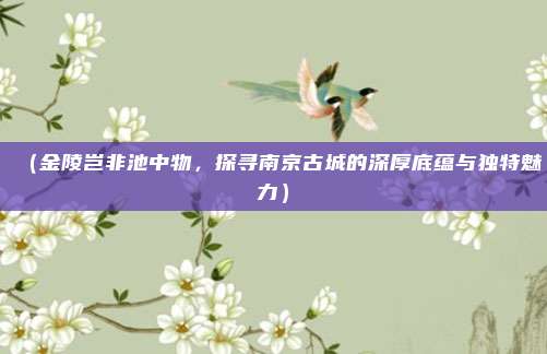 (金陵岂非池中物,探寻南京古城的深厚底蕴与独特魅力)