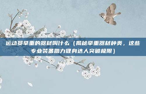 运动员举重的器材叫什么(揭秘举重器材种类,这些专业装备助力健身达人突破极限)