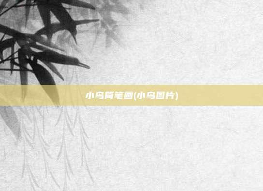 小鸟简笔画(小鸟图片)