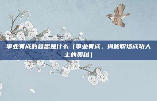 事业有成的意思是什么(事业有成,揭秘职场成功人士的奥秘)