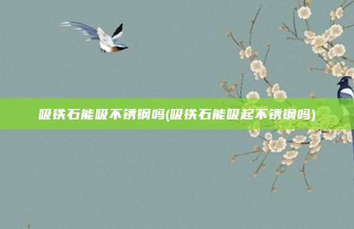 吸铁石能吸不锈钢吗(吸铁石能吸起不锈钢吗)