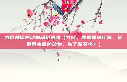竹鼠是保护动物吗犯法吗(竹鼠,既是美食佳肴,又是国家保护动物,你了解多少?)