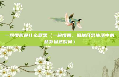 一脸懵圈是什么意思(一脸懵圈,揭秘日常生活中的意外困惑瞬间)