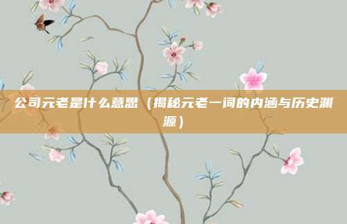 公司元老是什么意思(揭秘元老一词的内涵与历史渊源)