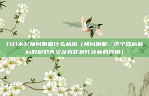 几日不见刮目相看什么意思(刮目相看,这个成语背后的深刻含义及其在现代社会的应用)