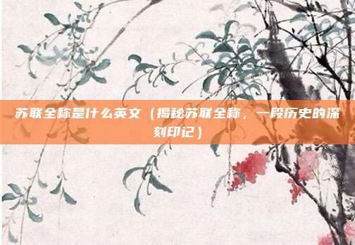 苏联全称是什么英文(揭秘苏联全称,一段历史的深刻印记)