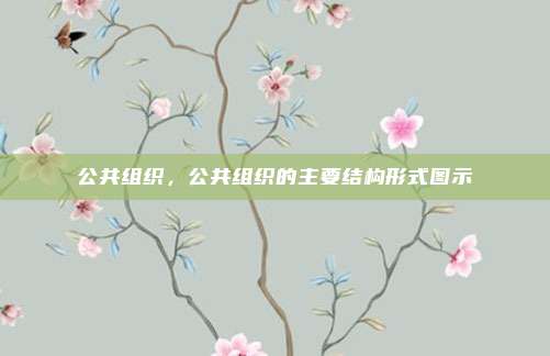公共组织,公共组织的主要结构形式图示
