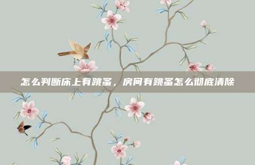 怎么判断床上有跳蚤,房间有跳蚤怎么彻底清除