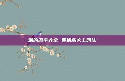 烟的名字大全 香烟高大上叫法