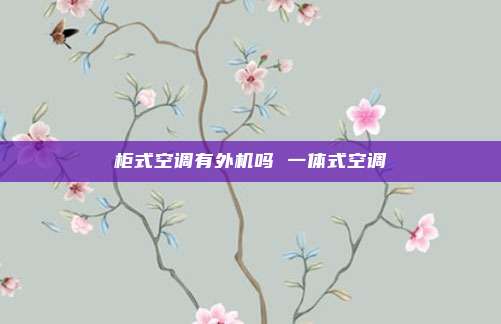 柜式空调有外机吗 一体式空调