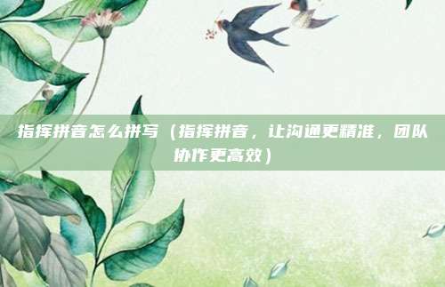 指挥拼音怎么拼写(指挥拼音,让沟通更精准,团队协作更高效)
