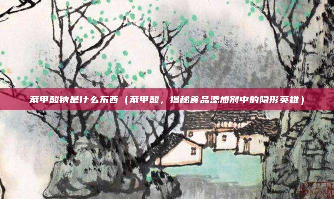 苯甲酸钠是什么东西(苯甲酸,揭秘食品添加剂中的隐形英雄)