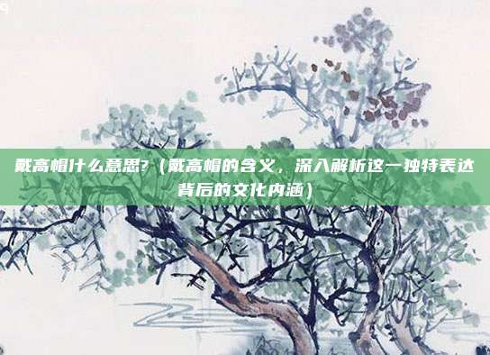 戴高帽什么意思?（戴高帽的含义，深入解析这一独特表达背后的文化内涵）
