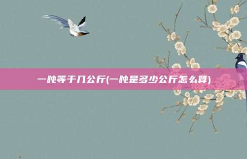 一吨等于几公斤(一吨是多少公斤怎么算)