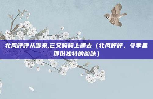 北风呼呼从哪来,它又呜呜上哪去(北风呼呼,冬季里那份独特的韵味)