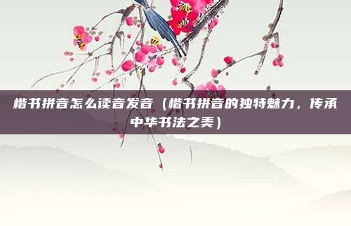 楷书拼音怎么读音发音(楷书拼音的独特魅力,传承中华书法之美)