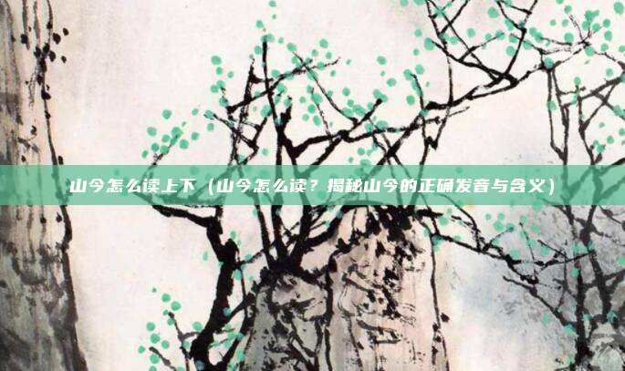 山今怎么读上下(山今怎么读?揭秘山今的正确发音与含义)