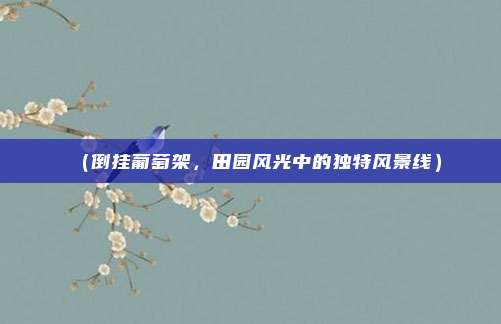 (倒挂葡萄架,田园风光中的独特风景线)