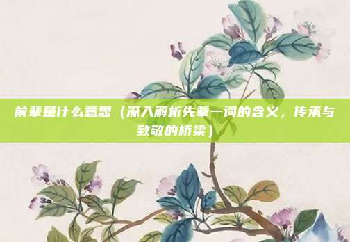 前辈是什么意思(深入解析先辈一词的含义,传承与致敬的桥梁)