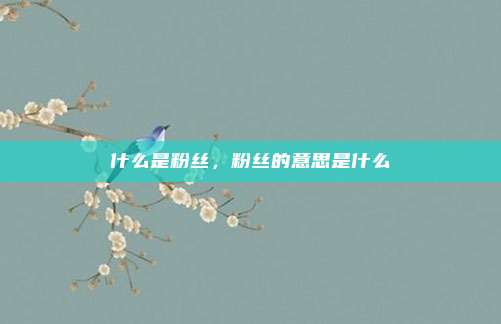 什么是粉丝,粉丝的意思是什么