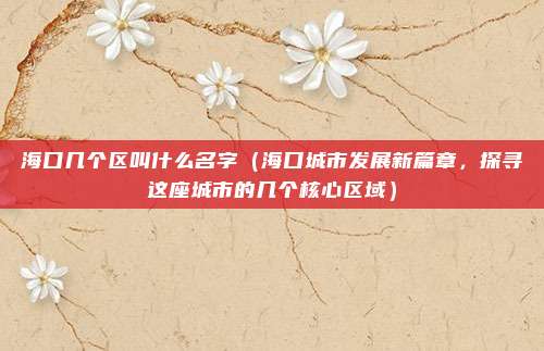 海口几个区叫什么名字(海口城市发展新篇章,探寻这座城市的几个核心区域)