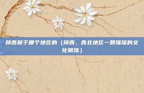 陕西属于哪个地区的(陕西,西北地区一颗璀璨的文化明珠)