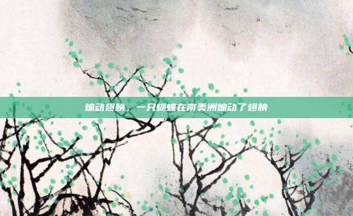 煽动翅膀，一只蝴蝶在南美洲煽动了翅膀