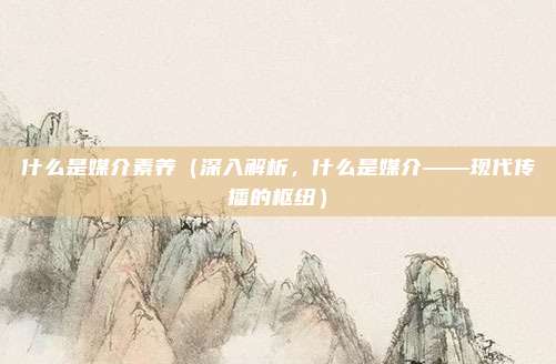 什么是媒介素养(深入解析,什么是媒介——现代传播的枢纽)