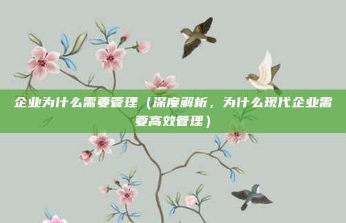 企业为什么需要管理(深度解析,为什么现代企业需要高效管理)