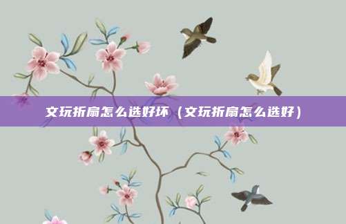 文玩折扇怎么选好坏(文玩折扇怎么选好)
