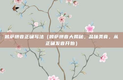披萨拼音正确写法(披萨拼音大揭秘,品味美食,从正确发音开始)