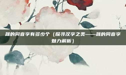 晟的同音字有多少个(探寻汉字之美——晟的同音字魅力解析)