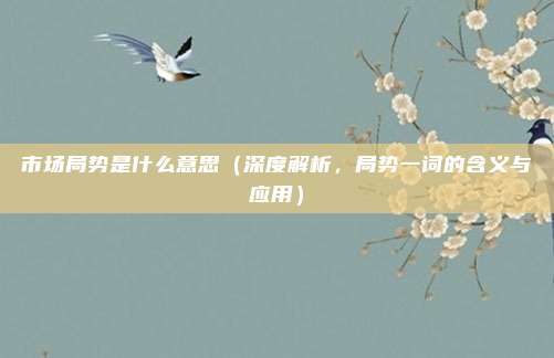 市场局势是什么意思(深度解析,局势一词的含义与应用)