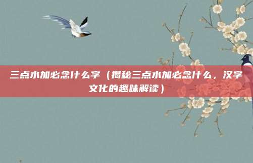 三点水加必念什么字(揭秘三点水加必念什么,汉字文化的趣味解读)