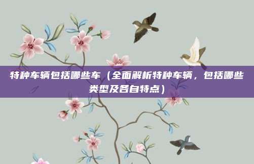 特种车辆包括哪些车(全面解析特种车辆,包括哪些类型及各自特点)