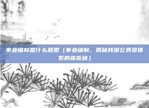 事业编制是什么意思(事业编制,揭秘我国公务员体系的铁饭碗)