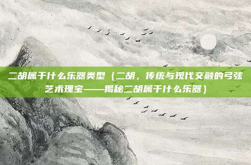 二胡属于什么乐器类型(二胡,传统与现代交融的弓弦艺术瑰宝——揭秘二胡属于什么乐器)