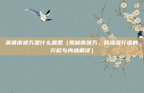 英语南波万是什么意思(揭秘南波万,网络流行语的兴起与内涵解读)
