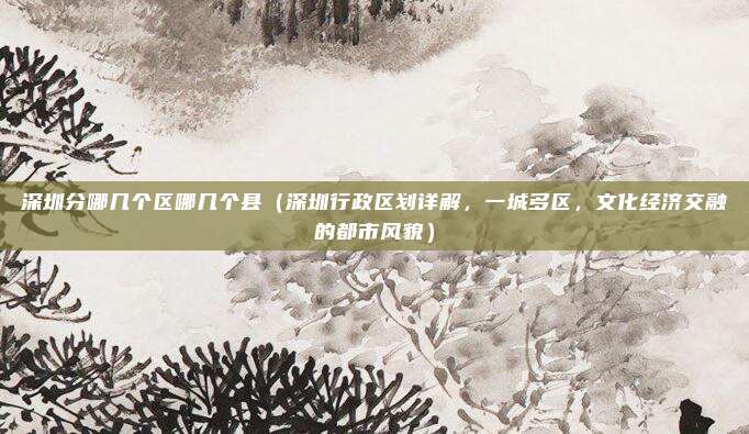 深圳分哪几个区哪几个县(深圳行政区划详解,一城多区,文化经济交融的都市风貌)