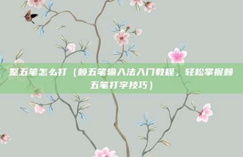 整五笔怎么打(赖五笔输入法入门教程,轻松掌握赖五笔打字技巧)