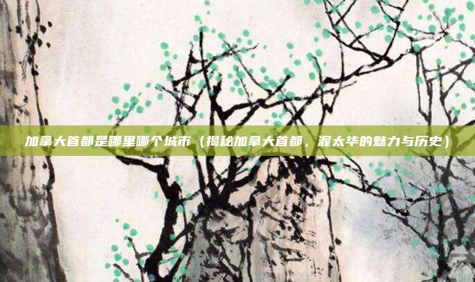 加拿大首都是哪里哪个城市(揭秘加拿大首都,渥太华的魅力与历史)