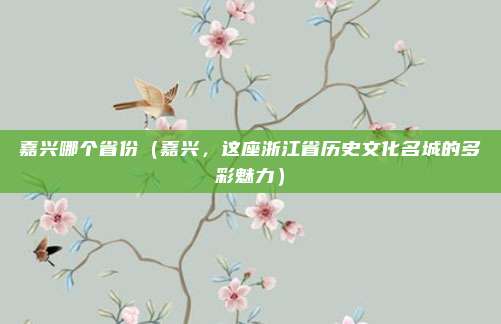 嘉兴哪个省份(嘉兴,这座浙江省历史文化名城的多彩魅力)