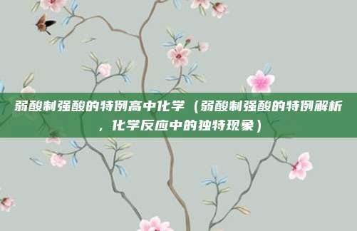 弱酸制强酸的特例高中化学(弱酸制强酸的特例解析,化学反应中的独特现象)