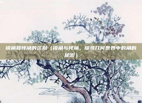 锐角和钝角的区别(锐角与钝角,探寻几何世界中的角的秘密)
