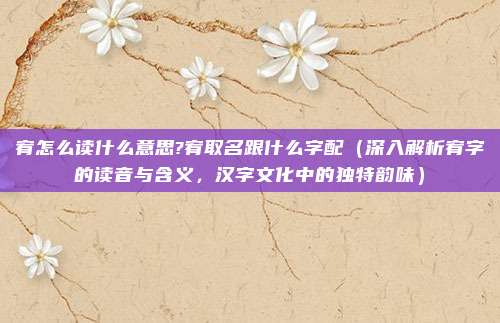 宥怎么读什么意思?宥取名跟什么字配(深入解析宥字的读音与含义,汉字文化中的独特韵味)