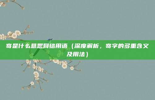 寄是什么意思网络用语(深度解析,寄字的多重含义及用法)